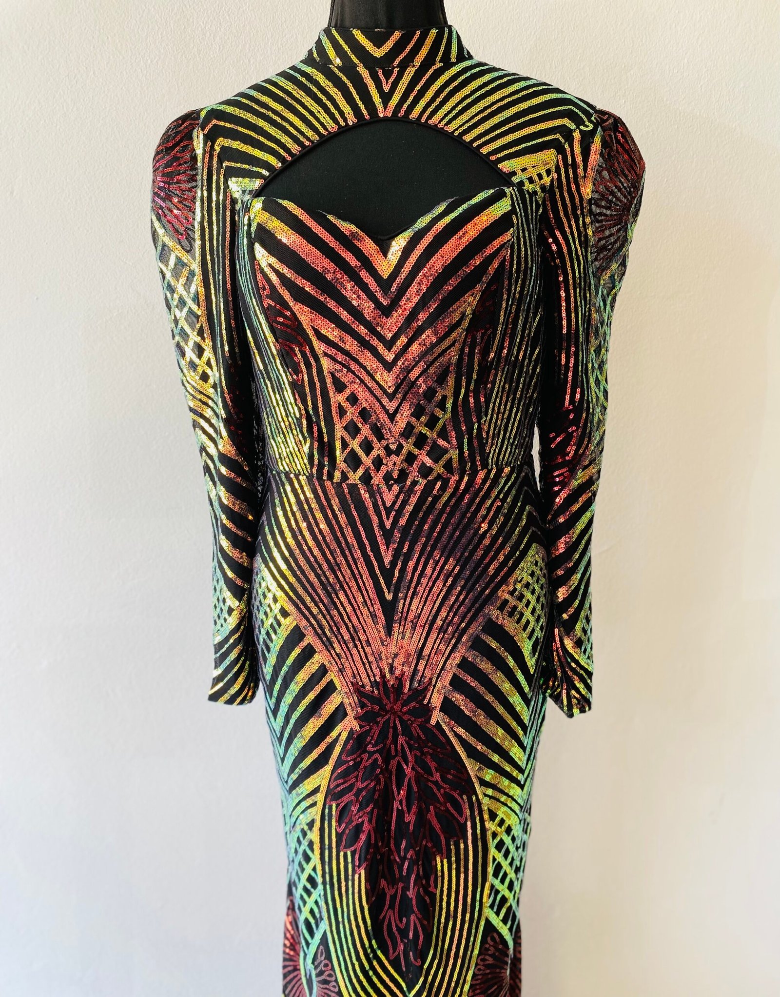 -Miss Ord Evenning Dress (this dress is long & brand new with tag, a beautiful dress) - Size: 8